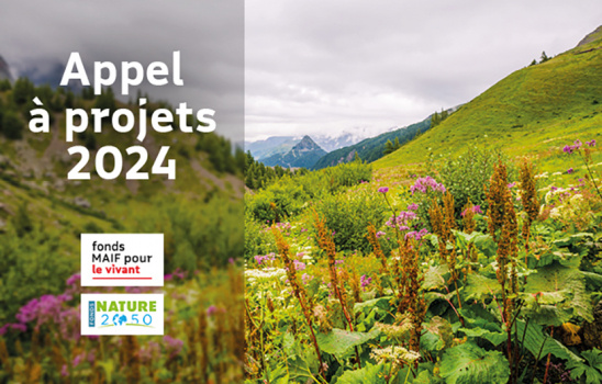 Visuel de l'appel à projets 2024-2025 « Fonds MAIF pour le vivant – Nature 2050 »