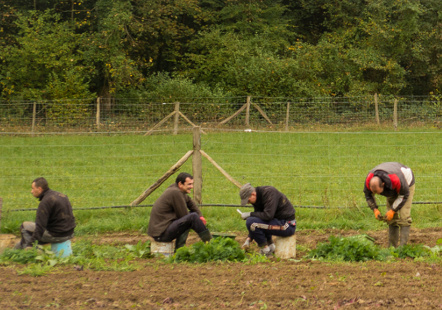 Ferme de Moyembrie