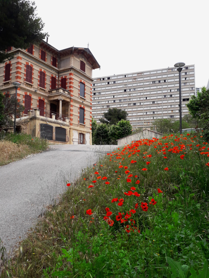 Le château en santé